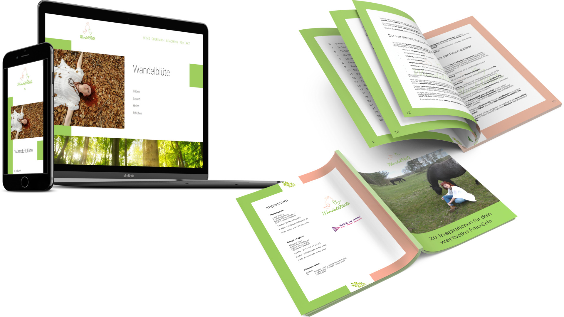 Corporate Design Harz Website Broschuere
