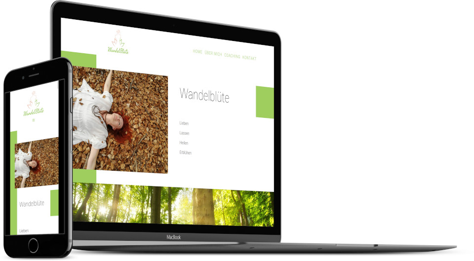 Webdesign Harz Coaching Beratung Website